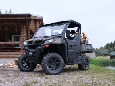 Почему бензиновые багги все еще самые популярные и какую модель купить в России