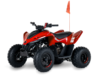 Квадроцикл CFORCE 110 EFI